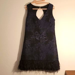 Nicole Miller size 6 blue and black night dress